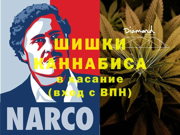 шишки Бронницы