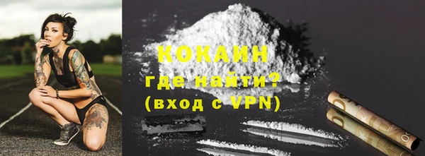 твердый Богданович