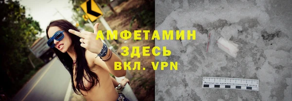 ECSTASY Бородино