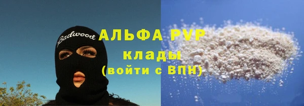 ECSTASY Богородск