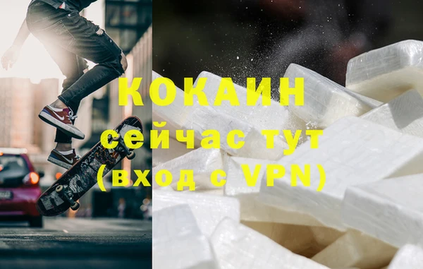 твердый Богданович