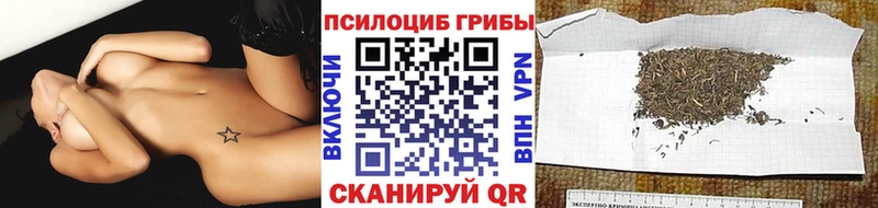 даркнет сайт  Данилов  Псилоцибиновые грибы мухоморы 